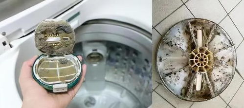 洗衣机用完打开还是关上 大多数都做错了,难怪洗衣服发粘还有味